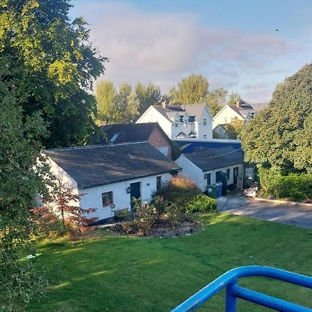Cosy 2 Bed Cottage Next To Fota Wildlife Park Cork Esterno foto