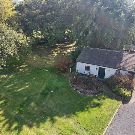 Cosy 2 Bed Cottage Next To Fota Wildlife Park Cork Esterno foto